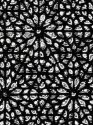 13GDBT1_01_003